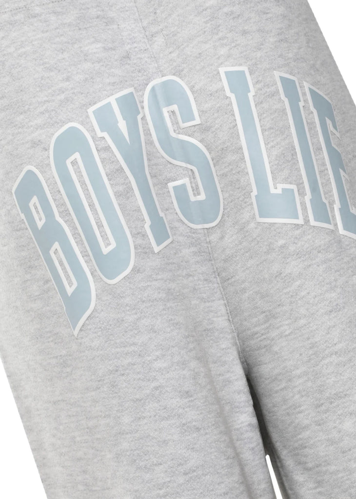 Boys Lie Violets Are Blue MM Pants ★ Grey
