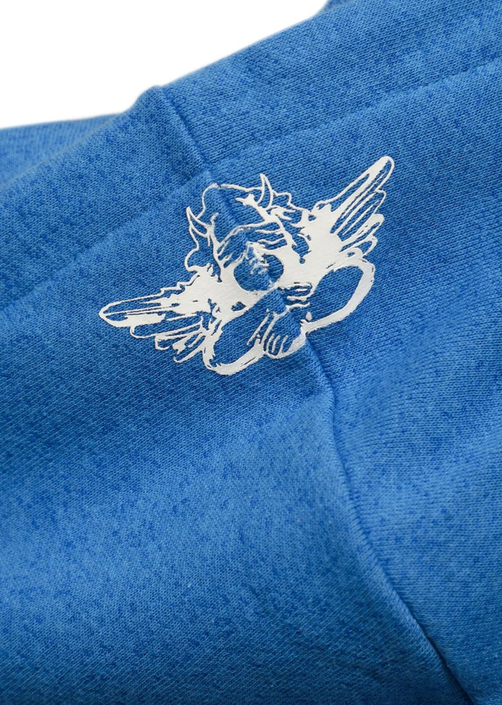 Boys Lie Charmer Racer Hoodie ★ Blue